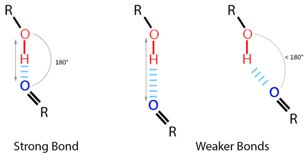 H-Bonds