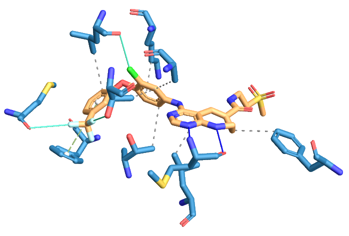 Protein-ligand interactions in 3D