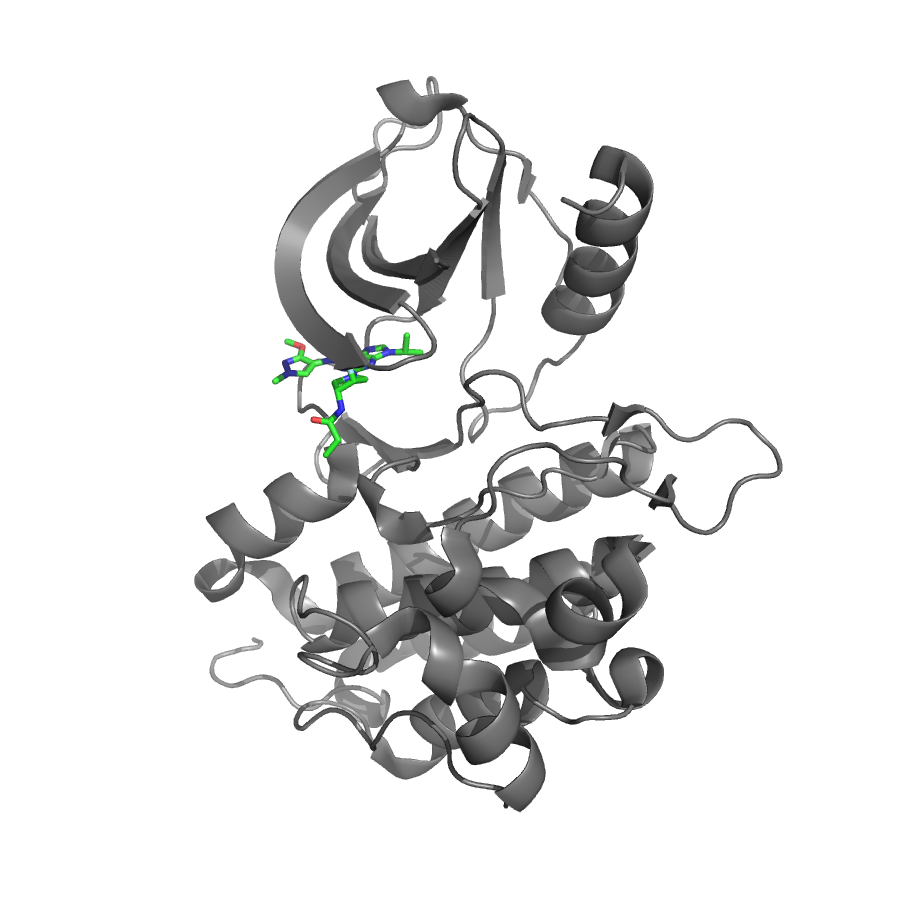protein ligand complex