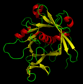 TubbyProtein