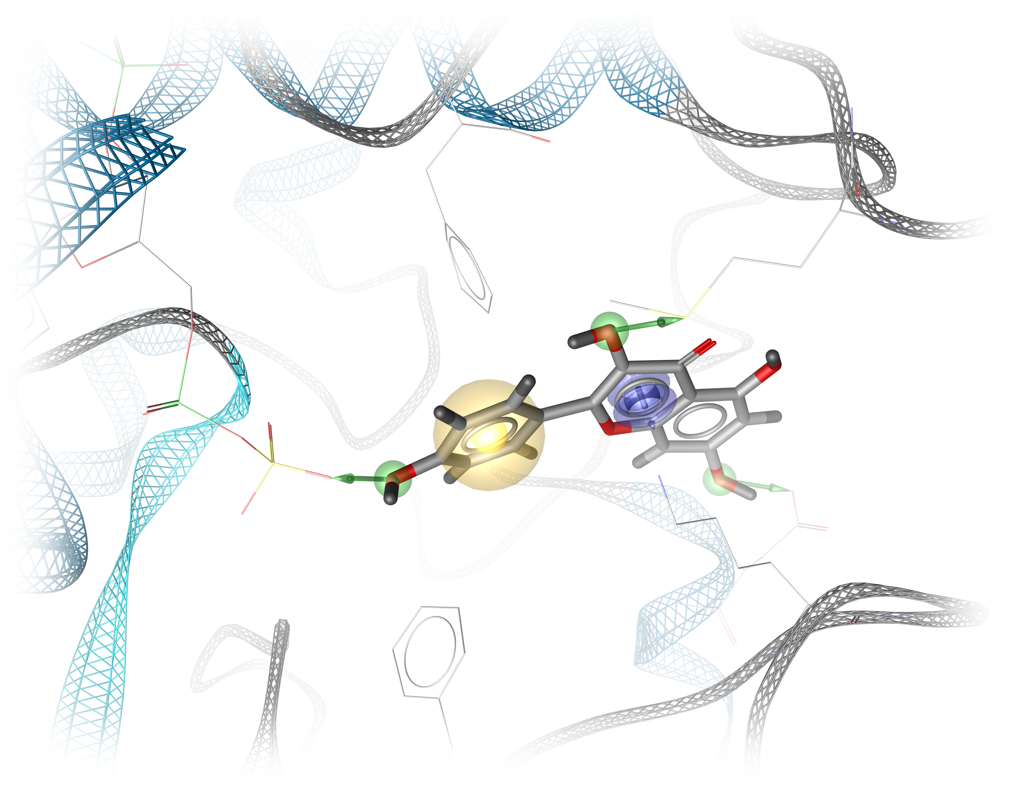 Structure-based pharmacophore representing protein-ligand interactions (figure by Dominique Sydow)