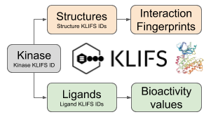 KLIFS database